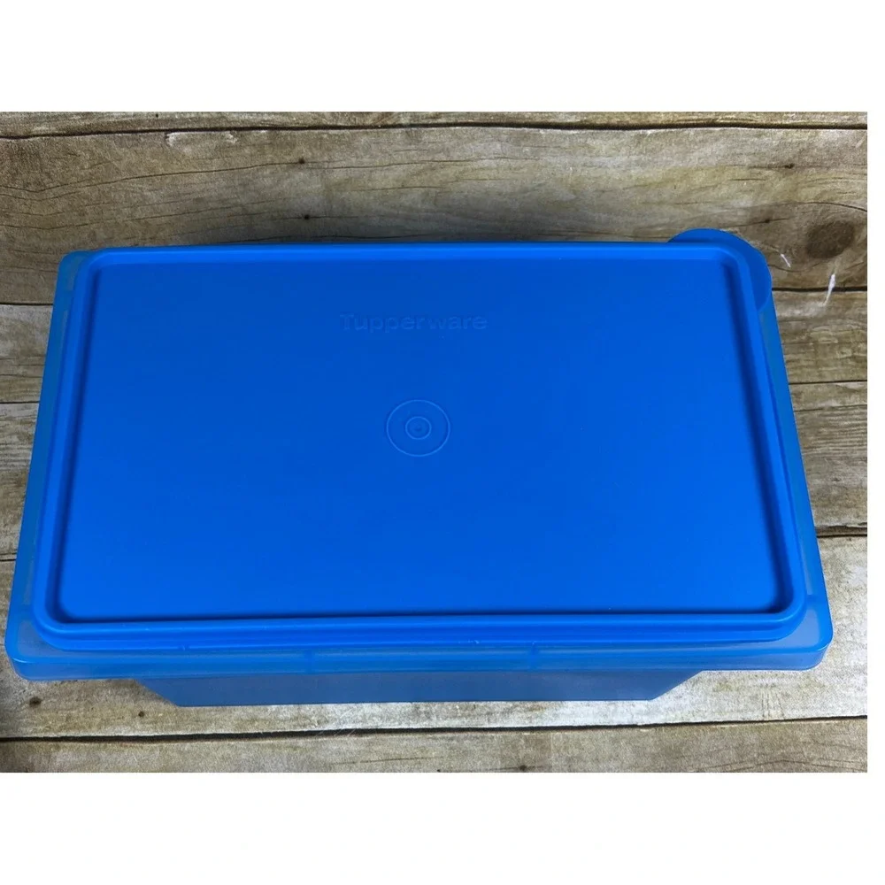 Tupperware Carry All Container with Lid and handle Picnic Basket Craft Box Yarn
